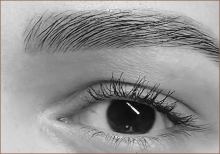 Beauté du regard avec services de microblading et épilation des sourcils