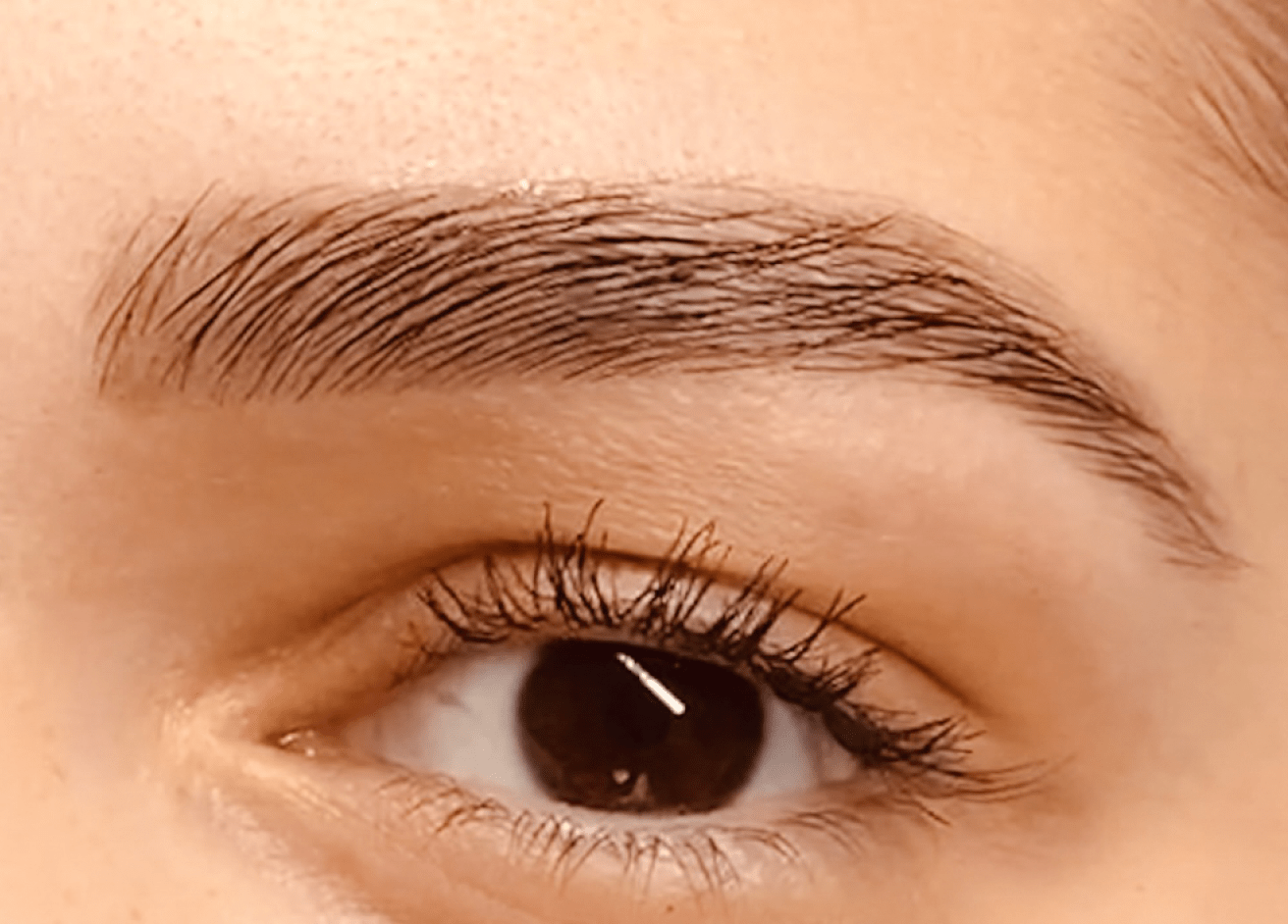 Exemples de réalisations de teinture des sourcils